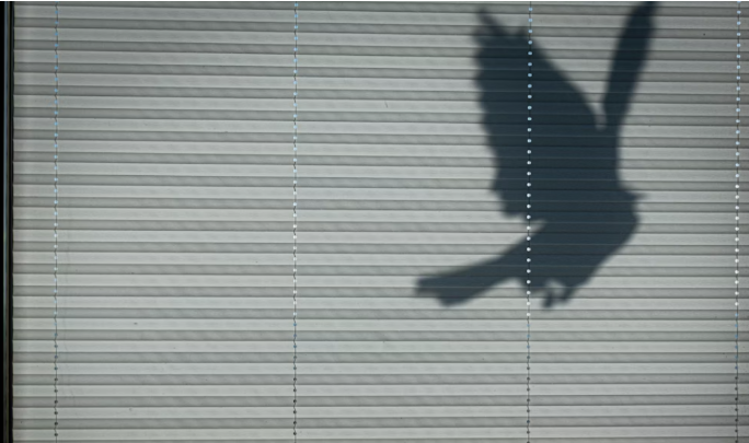 The Benefits of Vertical Blinds in Modern Interiors